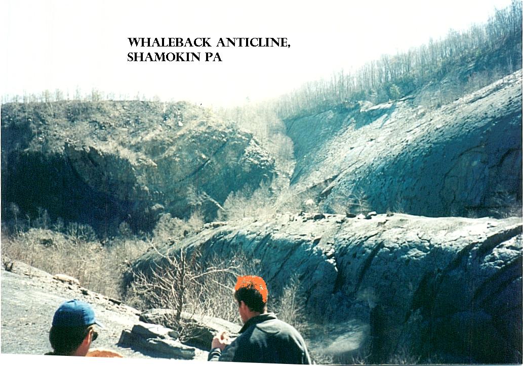 THE WHALEBACK ANTICLINE