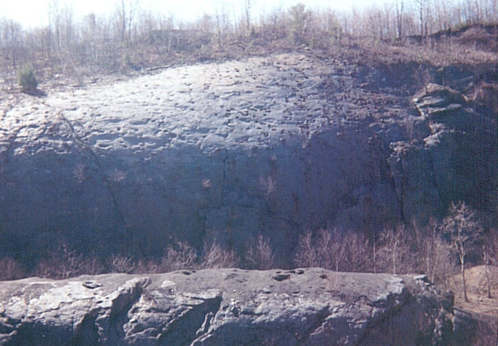 THE WHALEBACK ANTICLINE